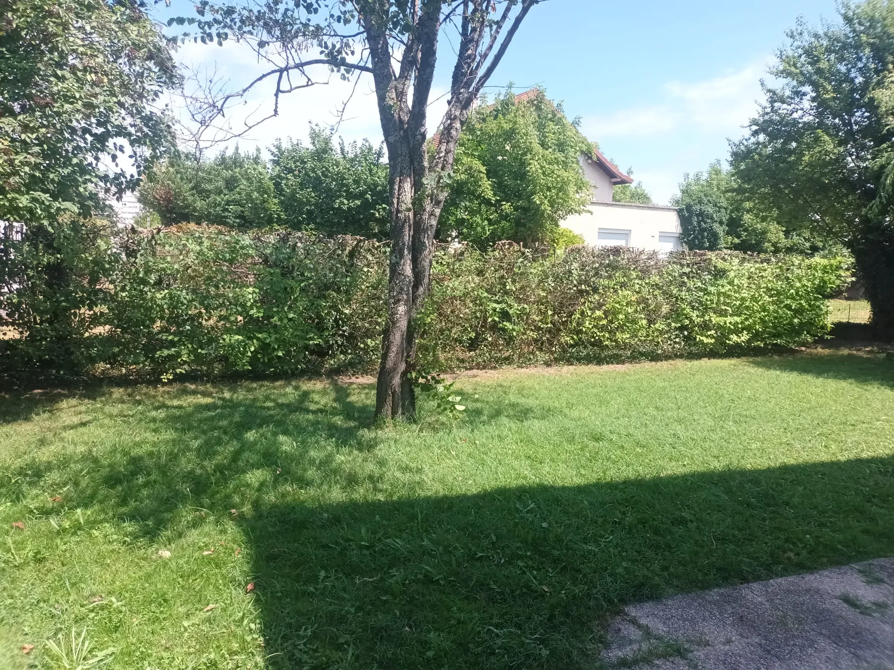 Entretien de jardins et espaces verts