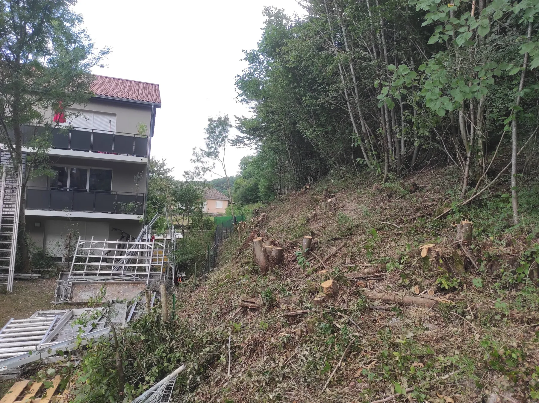 Talus déboisé, souches coupées et branchages au sol