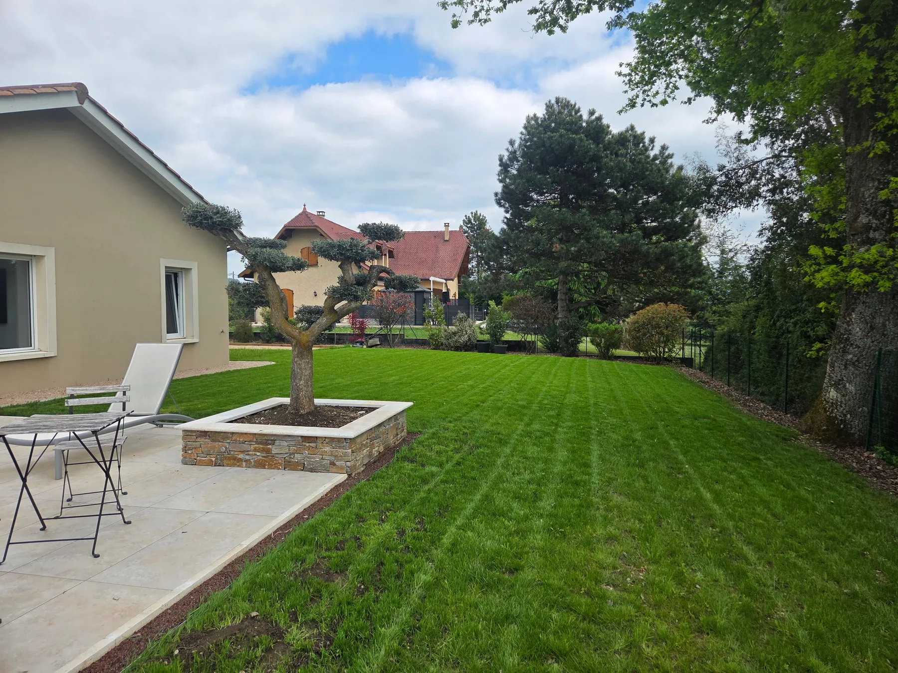 Jardin avec piscine et oliviers taillés en nuage