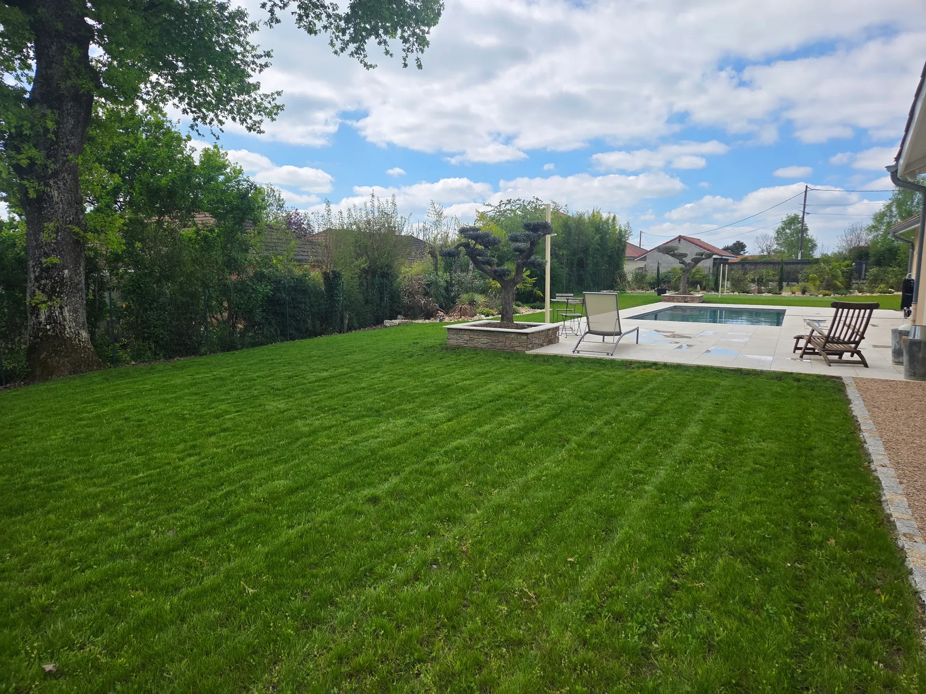 Grande pelouse tondue à bandes, chêne au premier plan, piscine et terrasse en pierre à l’arrière-plan