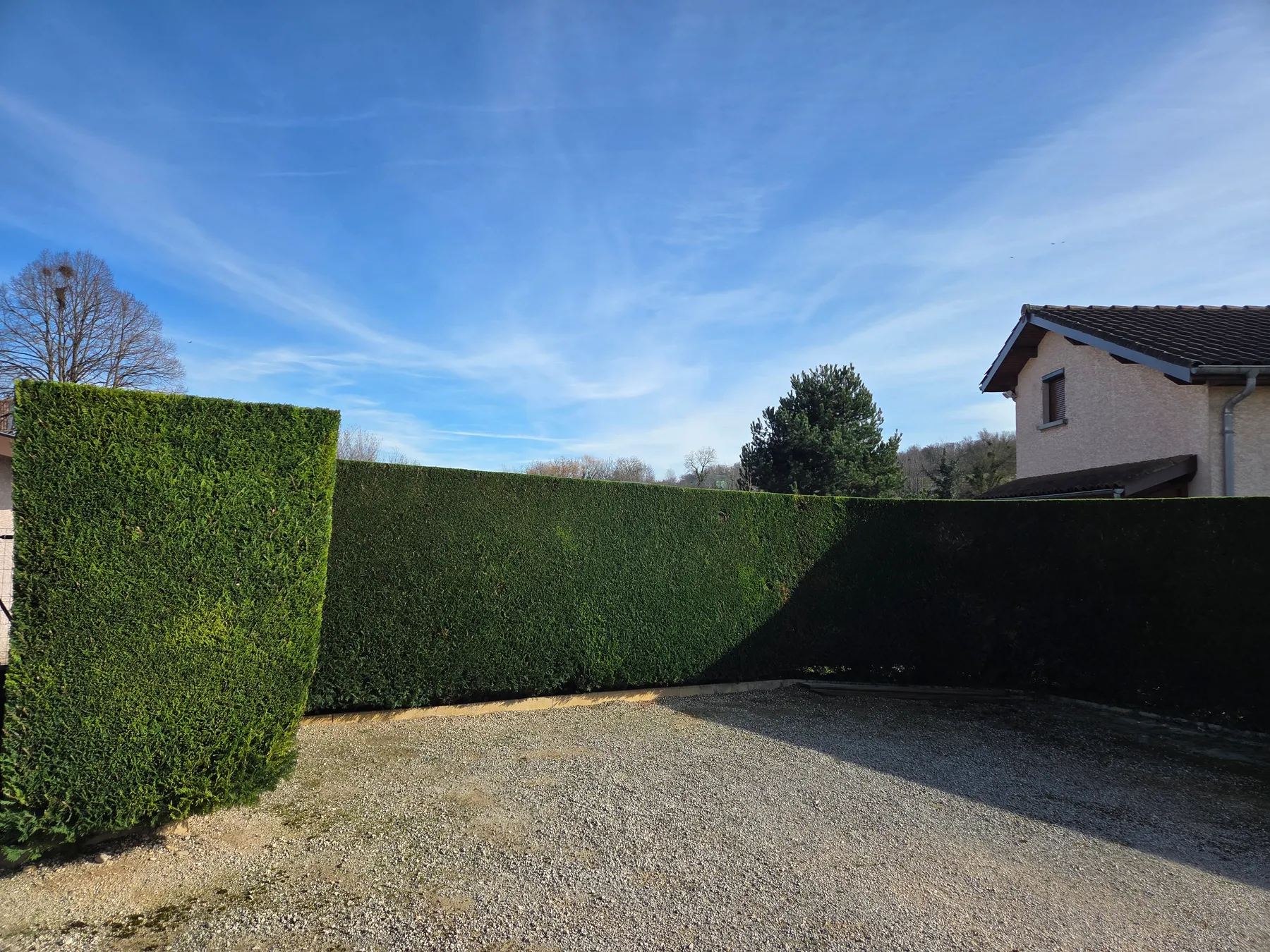 Longue haie de thuyas taillée au cordeau bordant une cour en grave, sous un ciel bleu